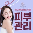 꿀피부과 네이버블로그