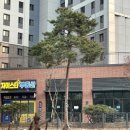 그린자이공인중개사사무소 이미지