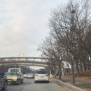 안성교차로(일주도로) 4 | 안성운전연수 실전 중심의 훈련으로 자신감 찾은 후기