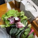 윤훈식농가쌈밥송정점 이미지