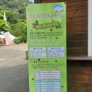 봉제산 무궁화공원 화장실 | 홍천 아이와 함께 가볼만한곳, 무료 입장 가능한 홍천 무궁화수목원 솔직 후기