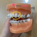 연세이라인치과교정과치과의원 이미지