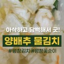 꽃순이삼겹살 | 시원하고 담백한 여름 별미, 평창꽃순이 양배추 물김치 체험단 리뷰