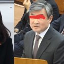 대왕참치 이미지