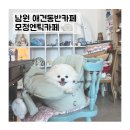 모정엔틱 카페 | 남원 애견동반카페 [모정엔틱카페]