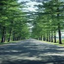 그레이스병원 이미지