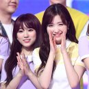 나코 이미지