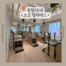필라테스다해 | [분당/수내] 시설 깔끔하고, 수업 디테일 다 잡은 '코코 필라테스' 후기🔥