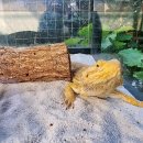 곤충생태관_1 이미지