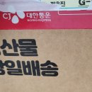 아들셋맘과일