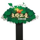 미경사 이미지