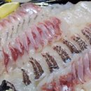 신바다회천국 이미지