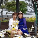 씨싸이드 이미지