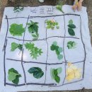 순복음어린이집 이미지