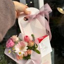 아틀리에피아프 이미지