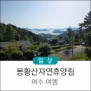 중앙 건축사사무소 | 여수 봉황산 자연휴양림 숙소 추천 아르떼뮤지엄 유월드 루지 테마파크 여수 맛집 추천