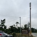 신안(여) | 가성비있게 머문 신안증도 섬안애펜션 2박후기 내돈내산