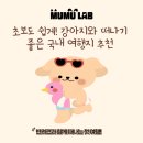 순천만놀러와펜션A구역 | 강아지와 떠나기 좋은 국내 여행지 추천 🧳“