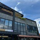 오가닉셀(주) 이미지