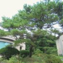 판문동4 이미지