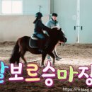 말보르승마장 이미지