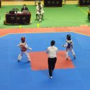 천하효태권도장 이미지