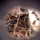 뮤동물병원 이미지