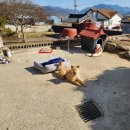 길곡면사무소 이미지