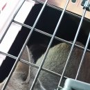 그린벨 이콰인 동물병원 이미지