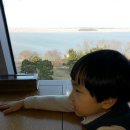 공룡게임랜드 이미지