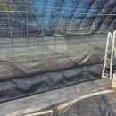 강선목장 이미지