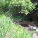 철탑목장 이미지