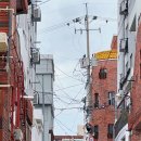 비에스엔빌사남부동산중개부산 이미지