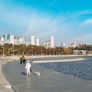 월드컵공원난지천공원축구장 네이버블로그