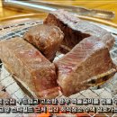 삼호센트럴타워 | 원흥역 맛집 부드럽고 고소한 벽돌갈비 고양 스타필드 근처 수색 삼호가든