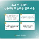 삼송사랑 동물의료센터 | 은평구 동물병원 <삼송사랑 동물의료센터> 5살 중형견 시바 이누의 슬개골 탈구 수술 이야기 / 슬개골...