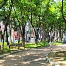 신매공원 이미지