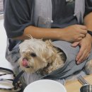 스테이 무아 이미지