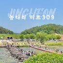 24년 7월 13일 천년의 농다리 &amp; 진천 미르309 출렁다리 (국내에서 가장 길이가 긴 출렁다리 309m 24. 04월개통 ) 이미지