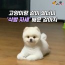 같이 이미지