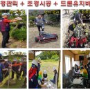 미래조경 Daum카페