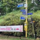 ☆ 구리한강시민공원, 코스모스축제장 길 걷기 사진 - (2) 이미지