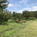 노형미리내공원 이미지