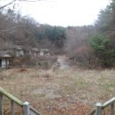 여주-0118 이미지