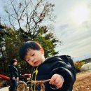 예주농장 이미지