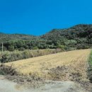 죽곡면 삼태리 마을회관 이미지