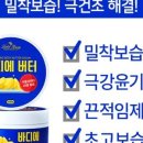 영바디