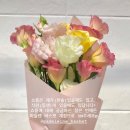 마들렌바스켓