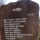 꽃섬투어 이미지