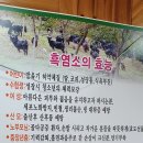 암남가든 이미지